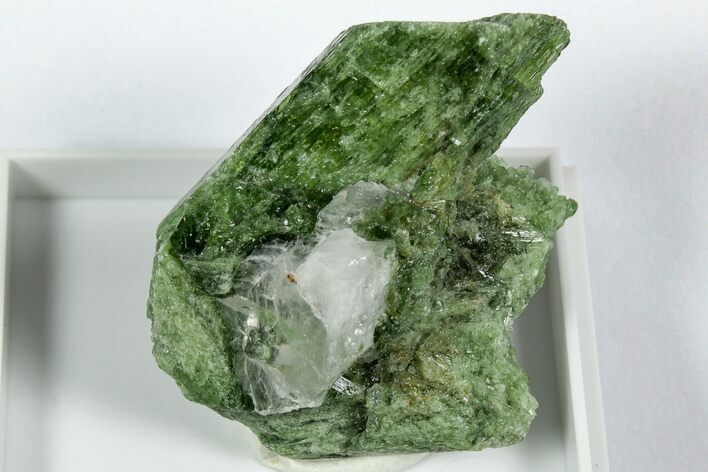 Lustrous Green Chrome Diopside - Minas Gerais, Brazil #344978
